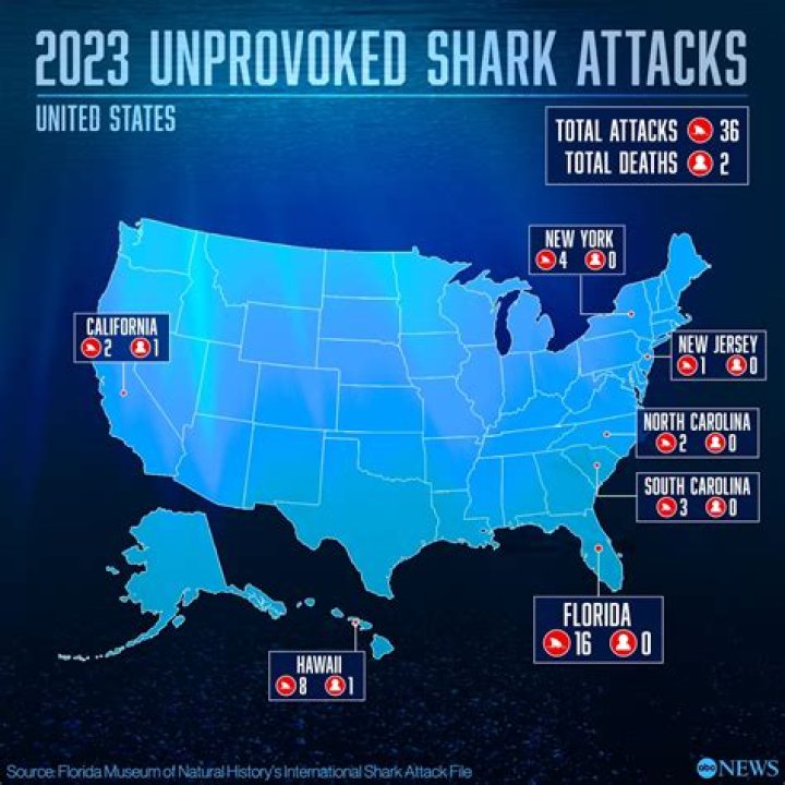 Hilton Head Shark Attacks: A Comprehensive Guide