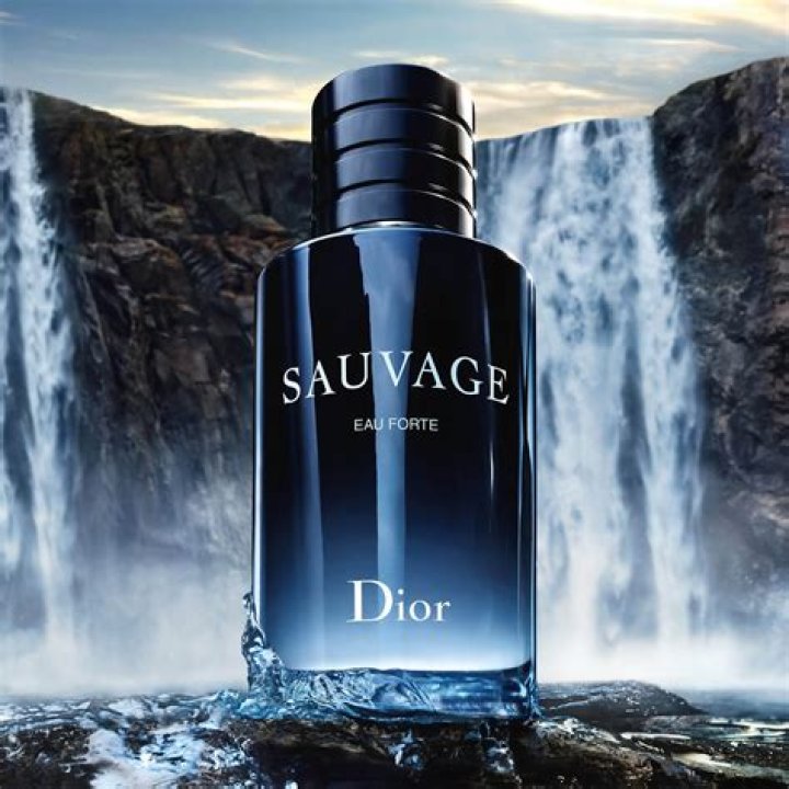 How Much Is Dess Dior Worth: A Comprehensive Breakdown