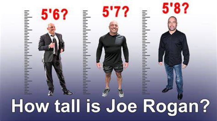 Ultimate Guide To Ian's Height: Uncovering The Truth