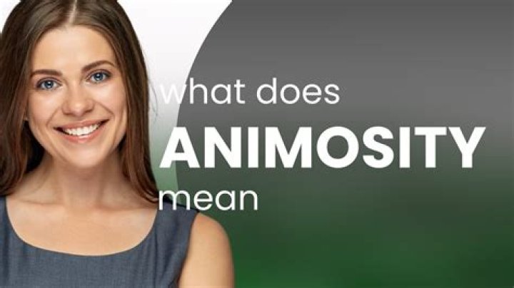 Understanding Animosity: Definition And Implications