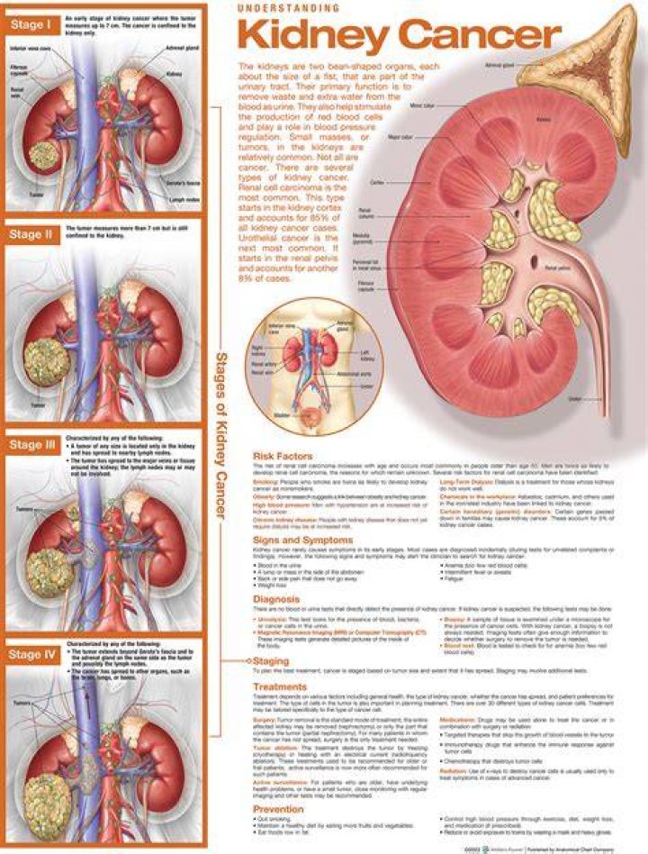 Understanding Kidney Surgery Scars: What To Expect