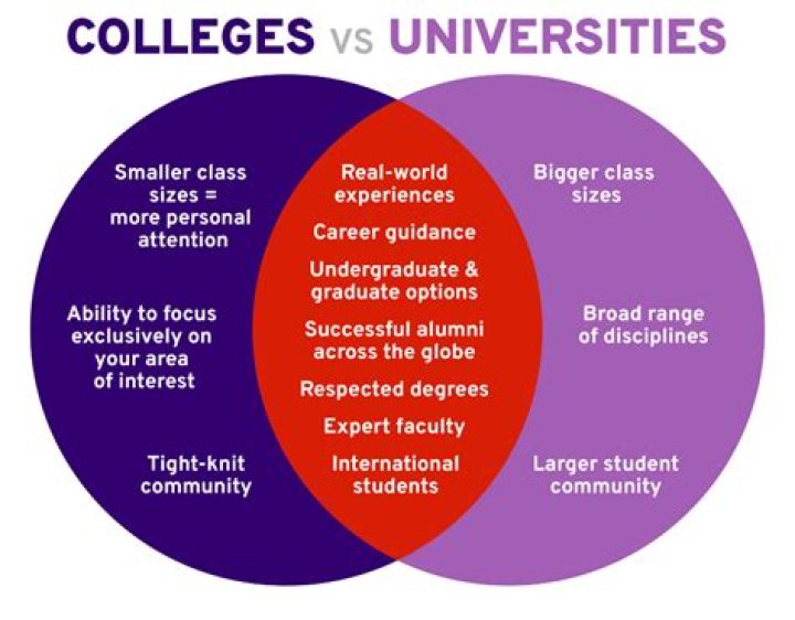 Understanding The Differences: College Vs University